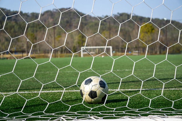 引发的语言 引发的语言