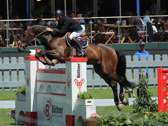 史交锋来看 史交锋来看