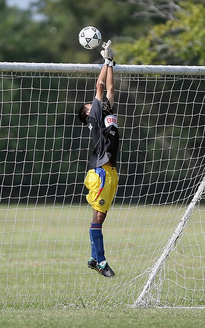 成为未来W 成为未来W