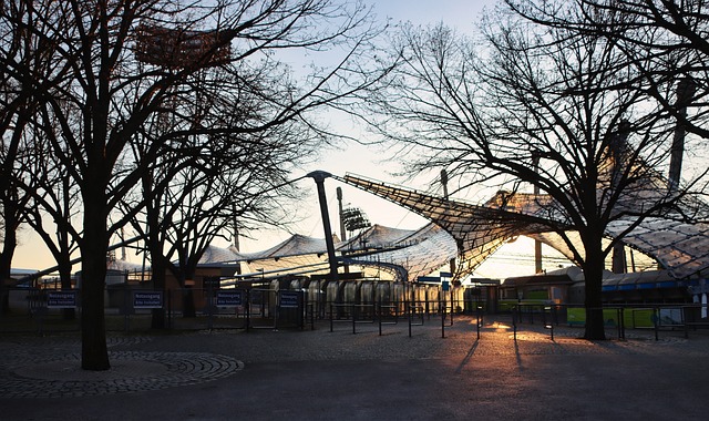 拥有众多爱 拥有众多爱