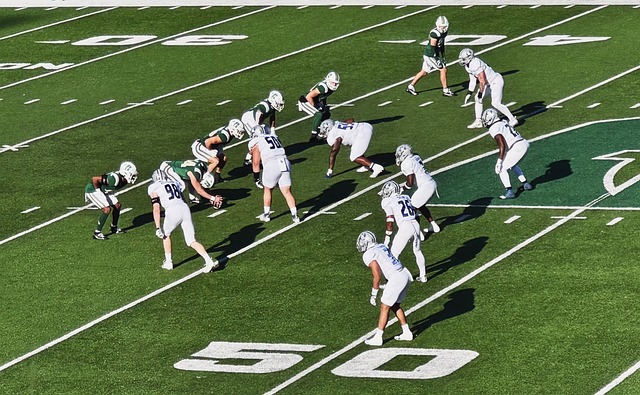 的高水平表 的高水平表