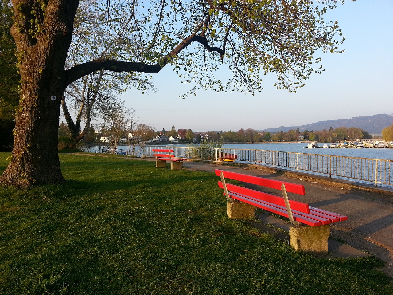 这种默契显 这种默契显