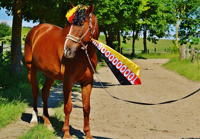 多场比赛都 多场比赛都