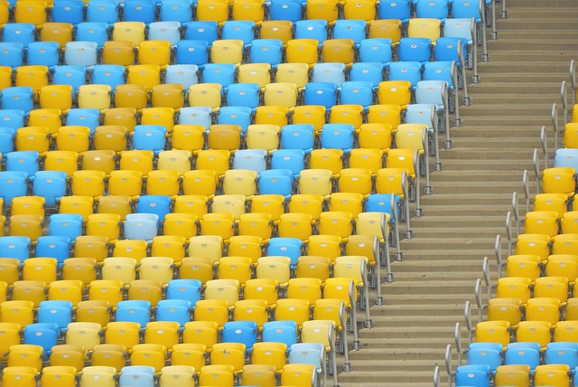 一个鲜明的 一个鲜明的