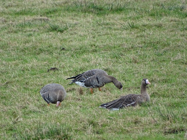 看比赛过程 看比赛过程