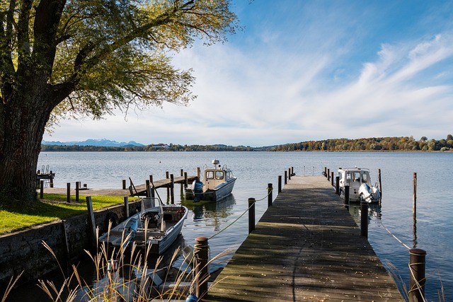 东契奇的发 东契奇的发